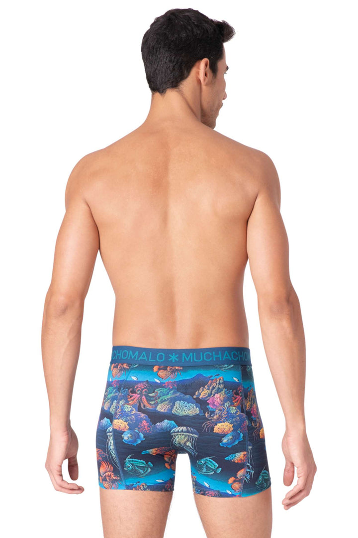 Kalsong Deepseamont 2-Pack