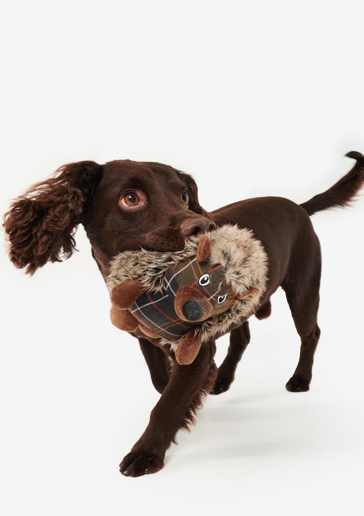 Hedgehog Dog Toy