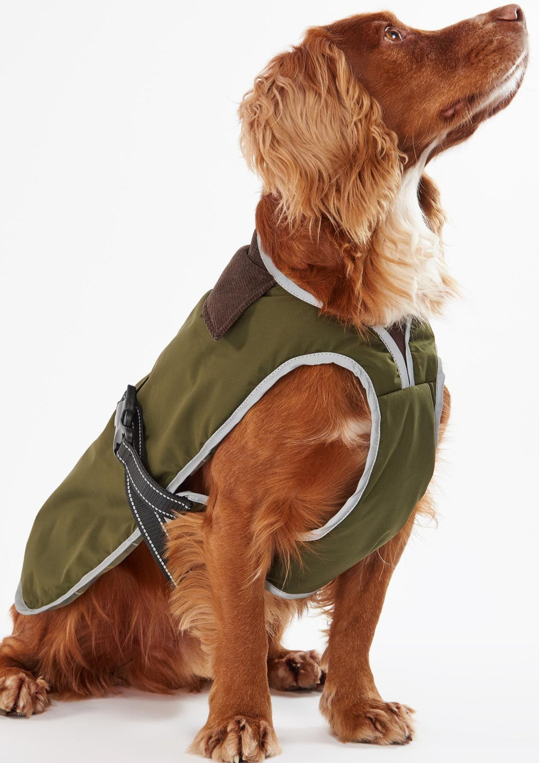 Barbour Dogs Monmouth
