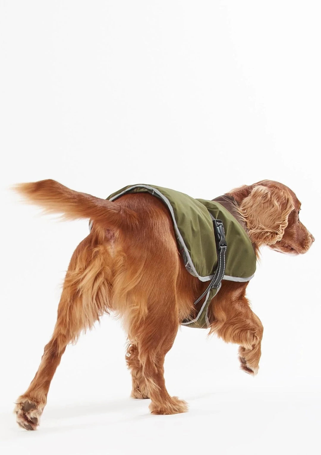Barbour Dogs Monmouth