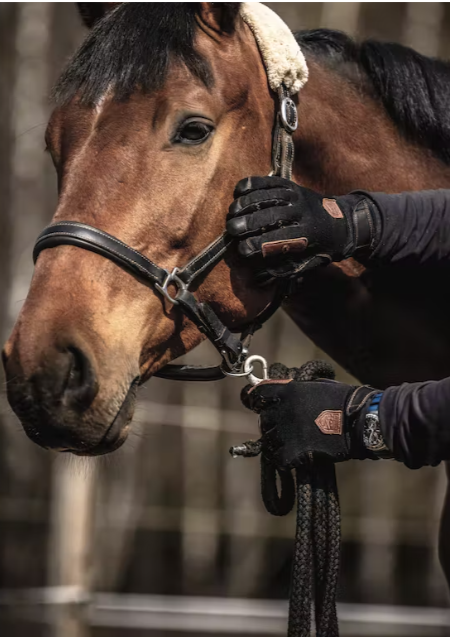 Handske Ergo Grip Equestrian